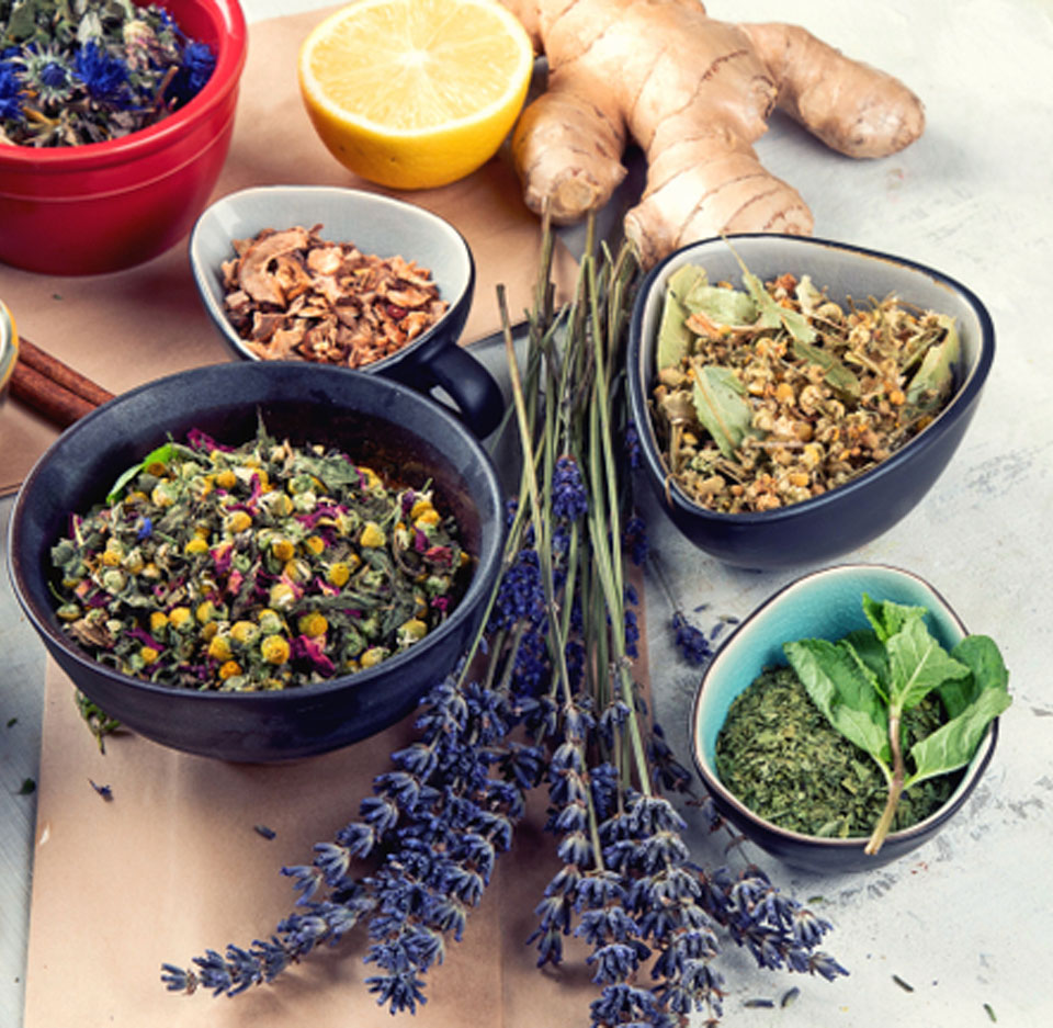 ayurveda health and wellness - ASHAexperience ayurveda health - ASHAexperience