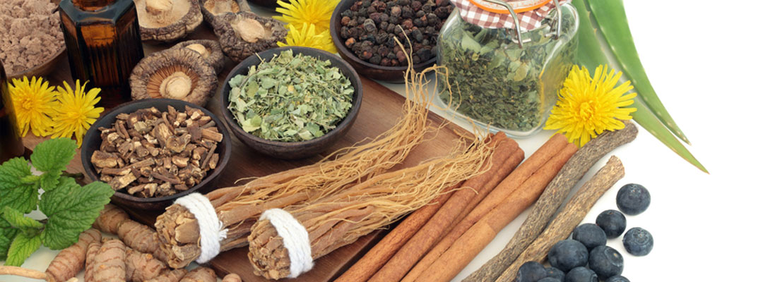 ayurvedic herbs and supplements online at ASHAexperience ayurvedic herbs and supplements online at ASHAexperience